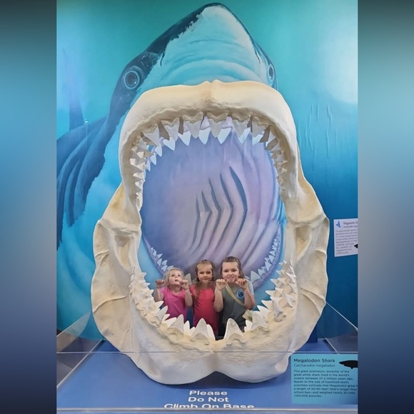 MEET YOUR POSHER - Picture 4 of 12